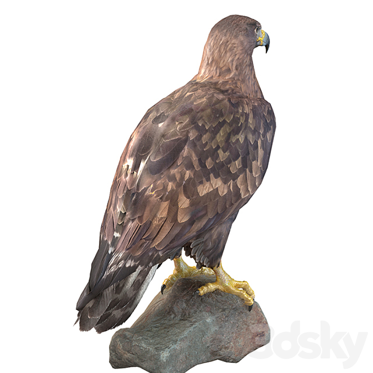 Golden eagle 3DS Max - thumbnail 2