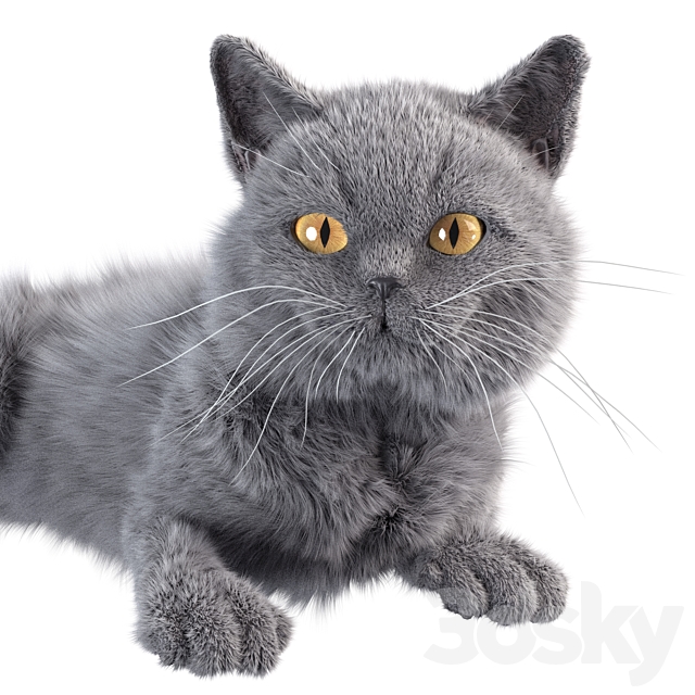 Gray Cat 3DS Max Model - thumbnail 2