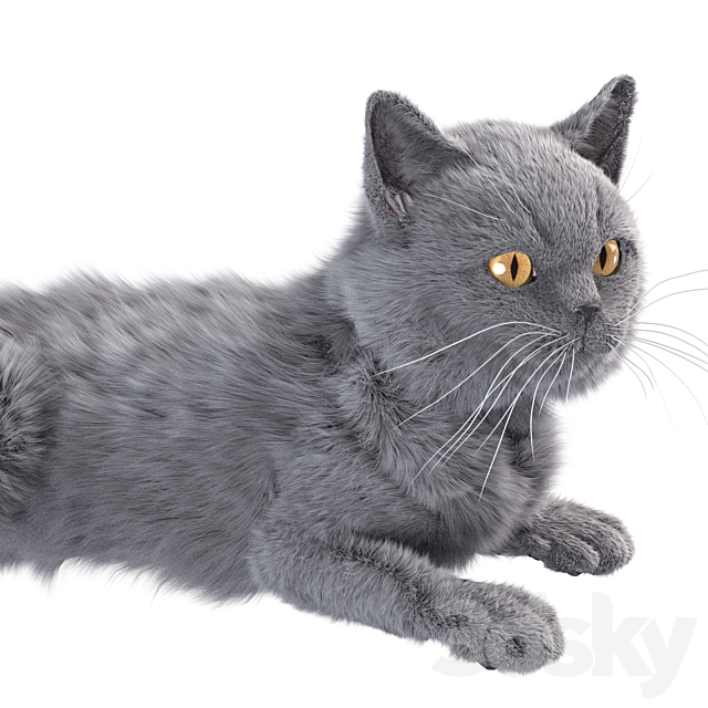 Gray Cat 3DS Max Model - thumbnail 3