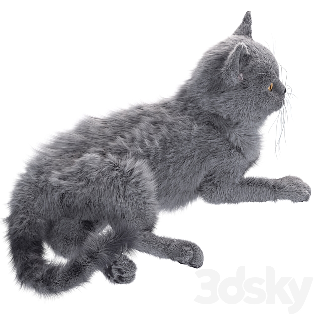 Gray Cat 3DS Max Model - thumbnail 4