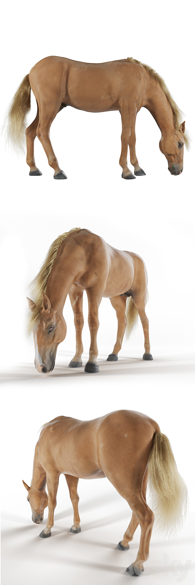 Grazing horse 3DS Max Model - thumbnail 2