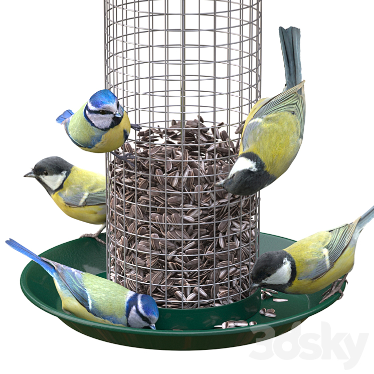 Great Tits and Blue Tits at bird feeder 3DS Max - thumbnail 2