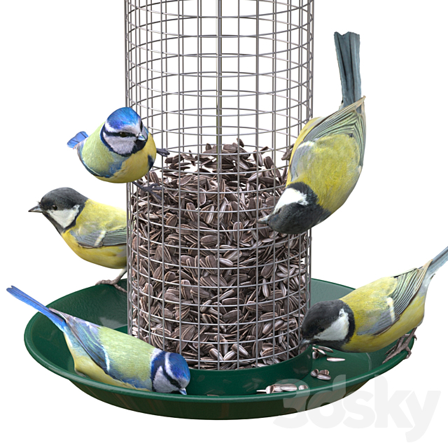 Great Tits and Blue Tits at bird feeder 3DSMax File - thumbnail 2