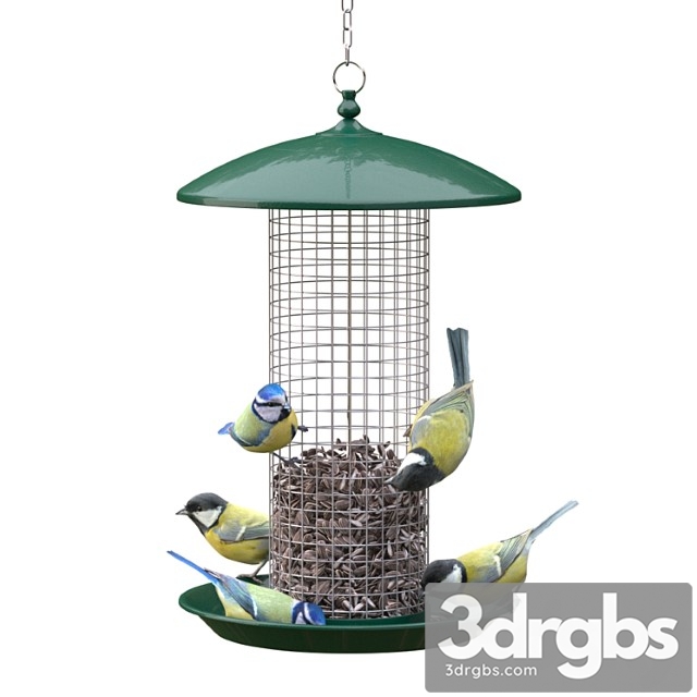 Great tits and blue tits at bird feeder - thumbnail 1