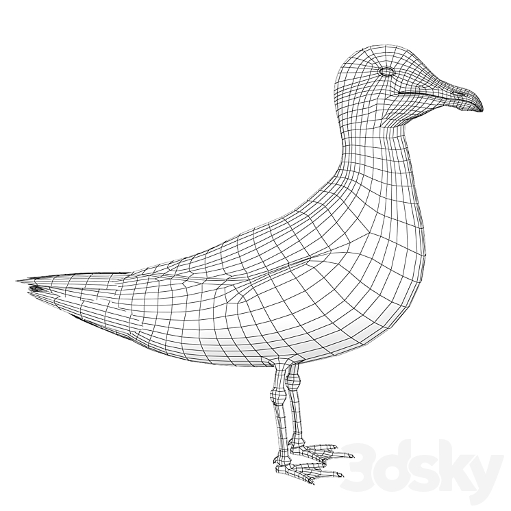 Gull 3DS Max - thumbnail 2