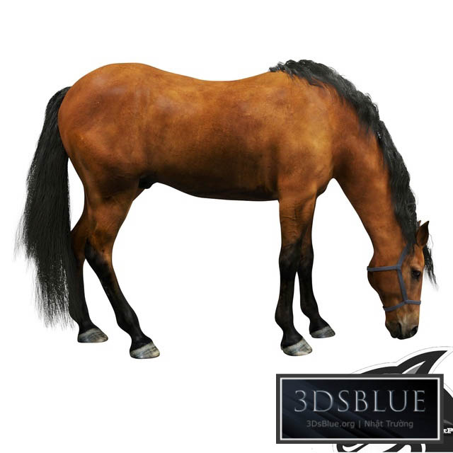 Horse 3DS Max - thumbnail 3