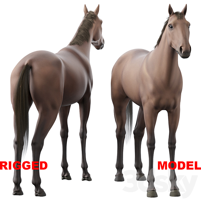 Horse 3ds Max - thumbnail 1