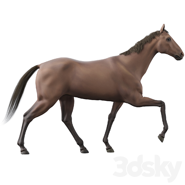 Horse 3ds Max - thumbnail 2