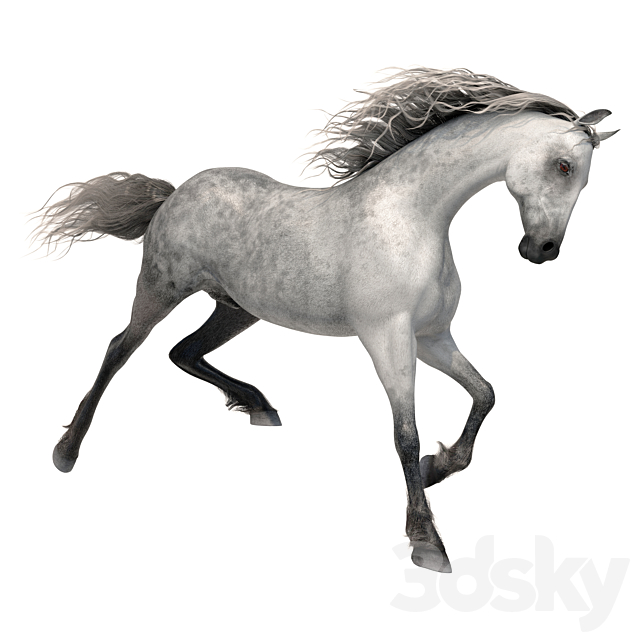 Horse 3ds Max - thumbnail 1