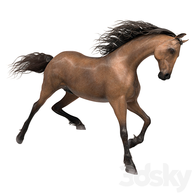 Horse 3ds Max - thumbnail 2