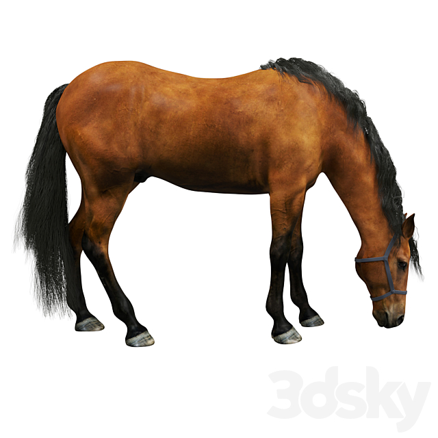 Horse 3DSMax File - thumbnail 1