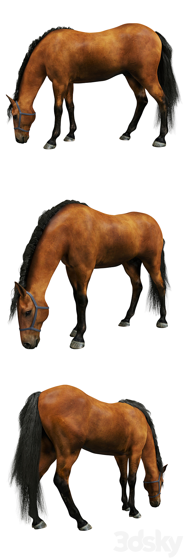 Horse 3DSMax File - thumbnail 2