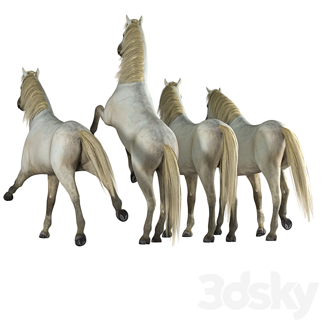 Horse in 04 Poses 3DS Max Model - thumbnail 2