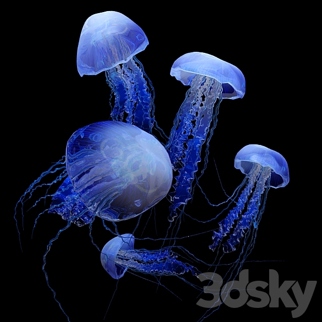 Jellyfish 3DS Max Model - thumbnail 2