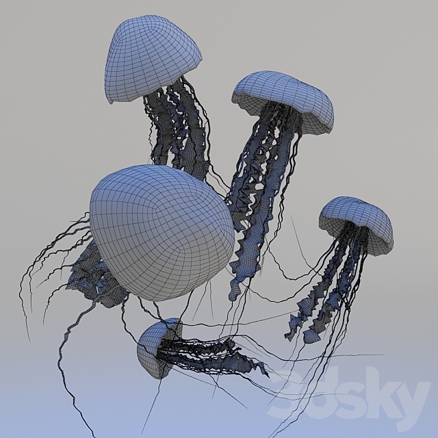 Jellyfish 3DS Max Model - thumbnail 3