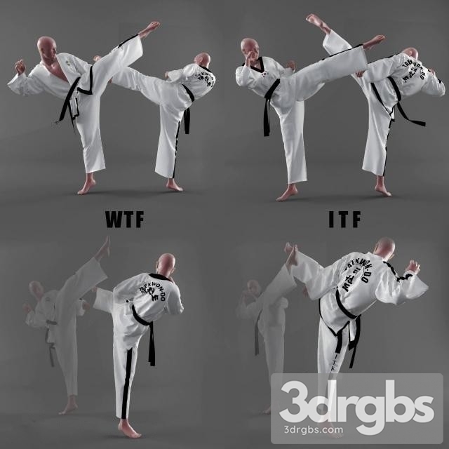 Karate Fighter 3dsmax Download - thumbnail 1