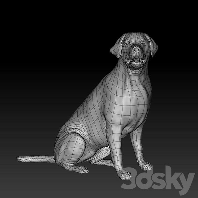 Labrador Retriever 3DS Max Model - thumbnail 3