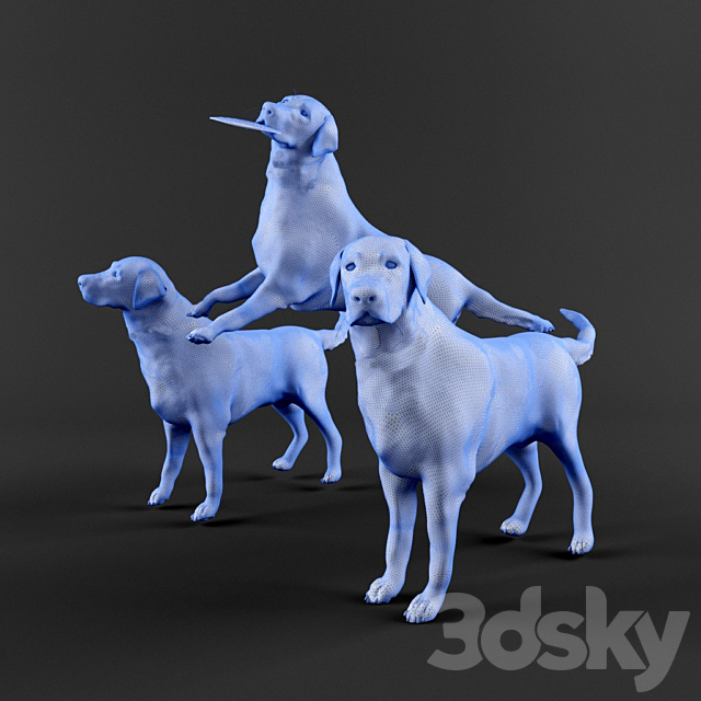 Labrador Shelby 3 variations 3DS Max Model - thumbnail 3