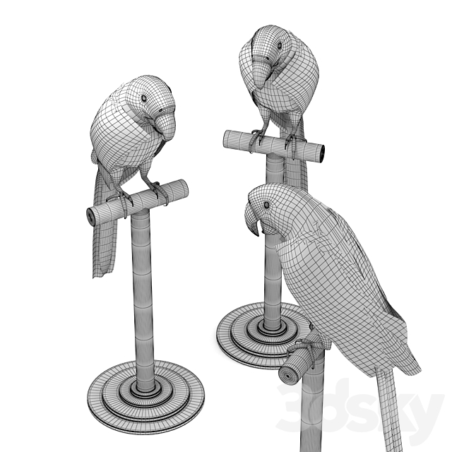 Macaw 3DS Max Model - thumbnail 2