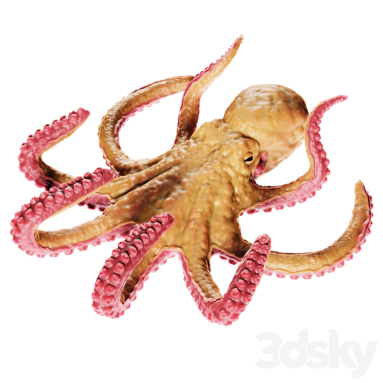 Octopus 3DS Max - thumbnail 1