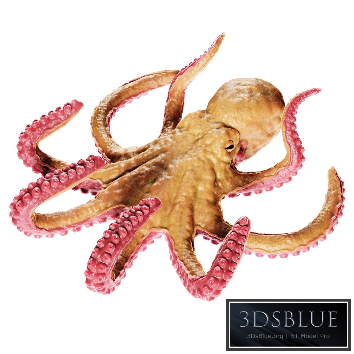 Octopus 3DS Max - thumbnail 3