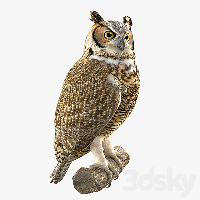 Owl 3DSMax File - thumbnail 1