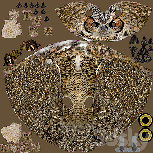 Owl 3DSMax File - thumbnail 4