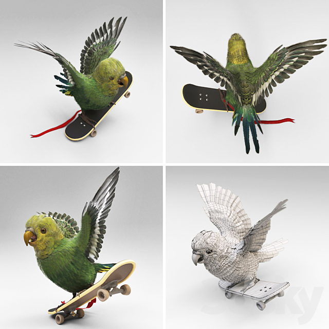 Parrot 3DS Max Model - thumbnail 3