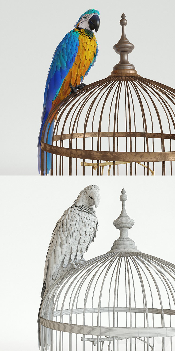 Parrot Ara 3DS Max - thumbnail 2