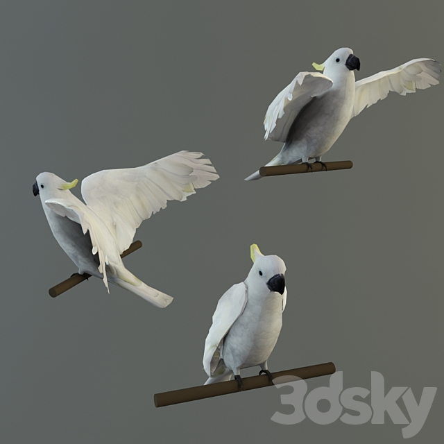 Parrot cockatoo 3DSMax File - thumbnail 3