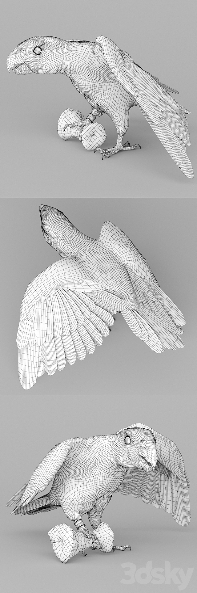 Parrot Jaco 3DS Max Model - thumbnail 3