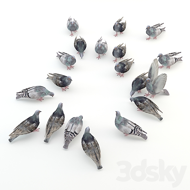 Pigeons 3DSMax File - thumbnail 2