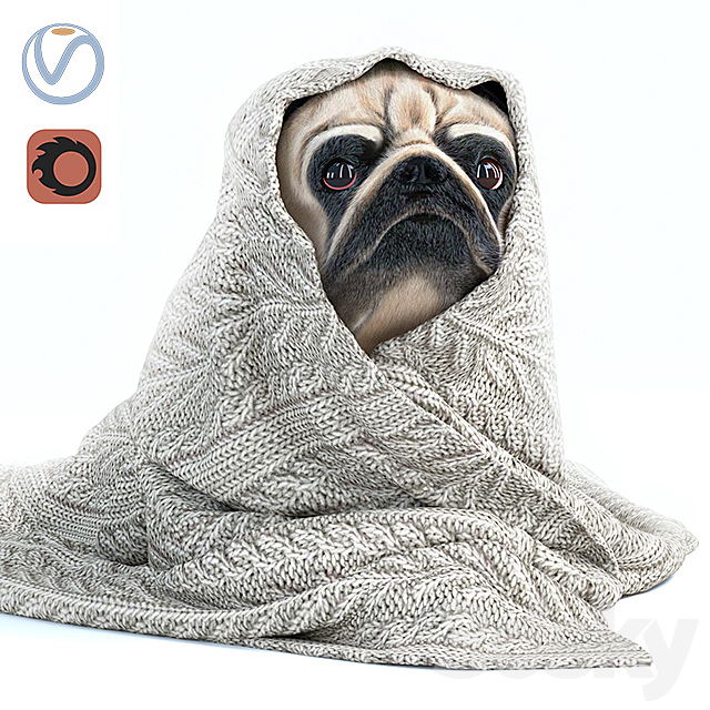 Pug 1 – Winter is coming 3DSMax File - thumbnail 1