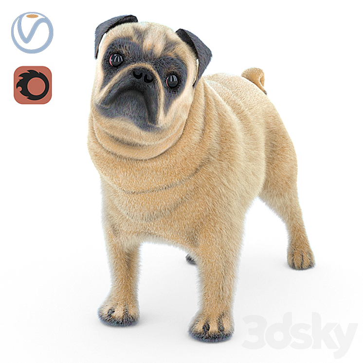 Pug 2 3DS Max - thumbnail 1