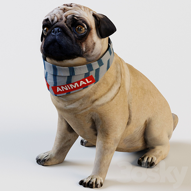 PUG 3DS Max Model - thumbnail 2