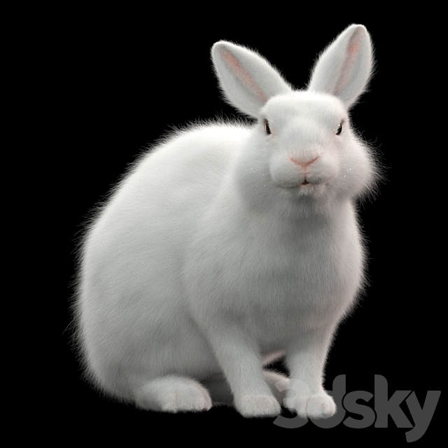 Rabbit 3DS Max Model - thumbnail 2