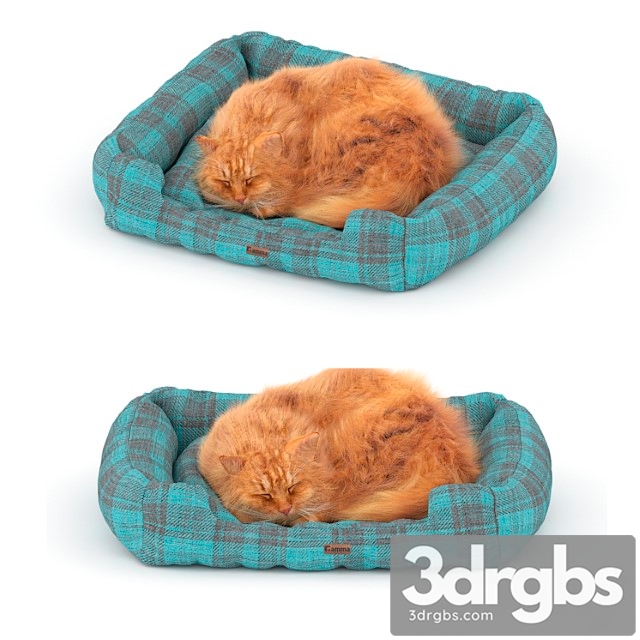 Red Cat On A Bed 3dsmax Download - thumbnail 1