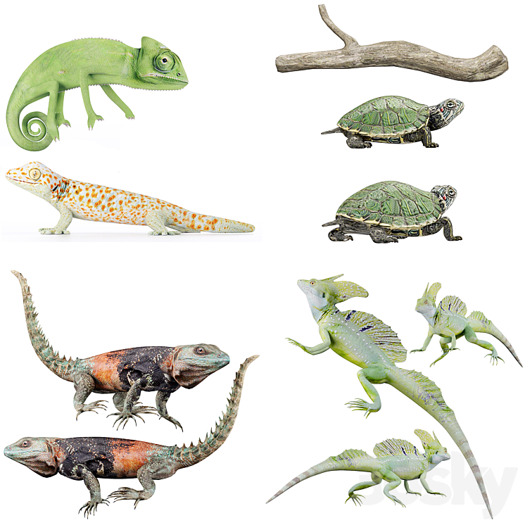 Reptile Collection 3DS Max - thumbnail 1