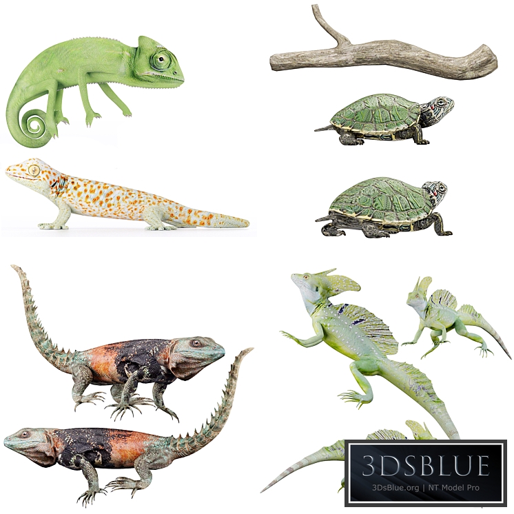 Reptile Collection 3DS Max - thumbnail 3