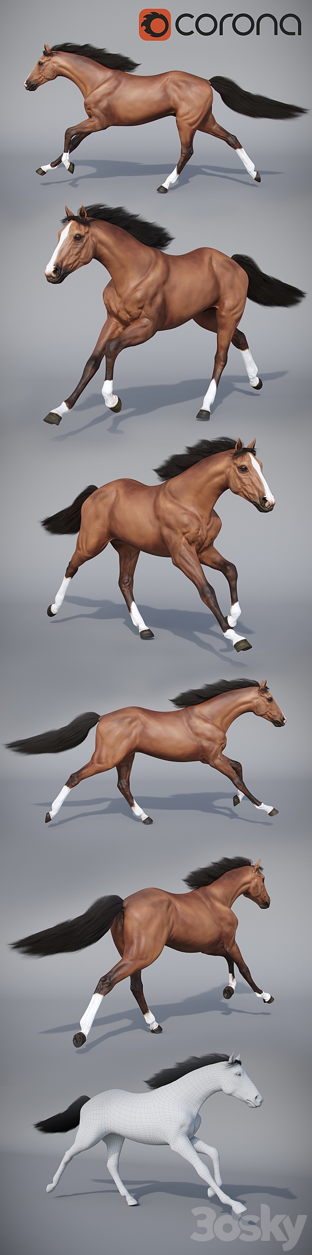 Running horse 02 3DS Max Model - thumbnail 2