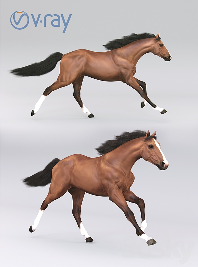 Running horse 02 3DS Max Model - thumbnail 3