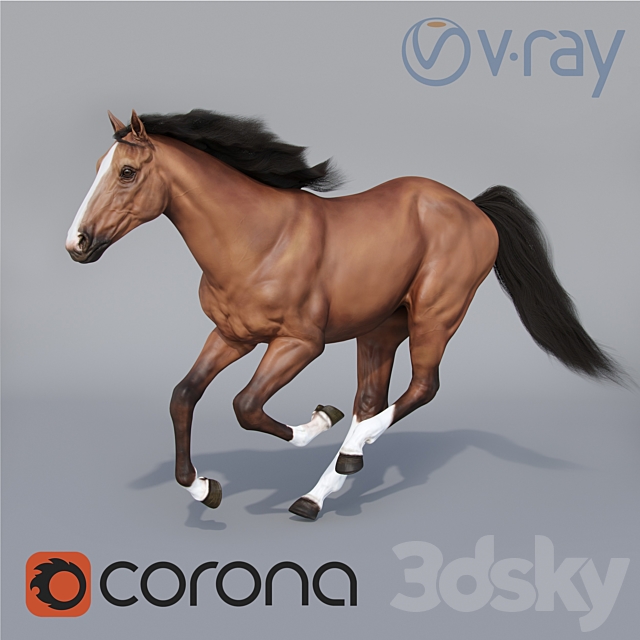 Running horse 3ds Max - thumbnail 1