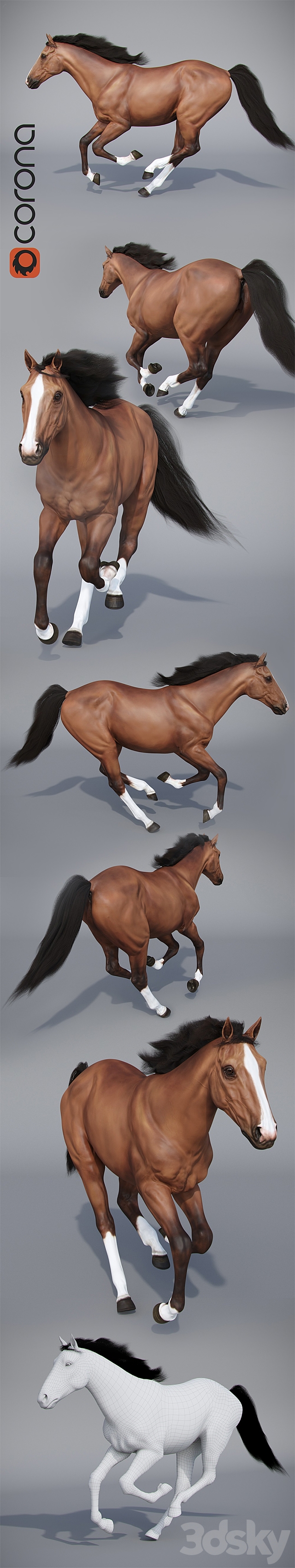 Running horse 3ds Max - thumbnail 2