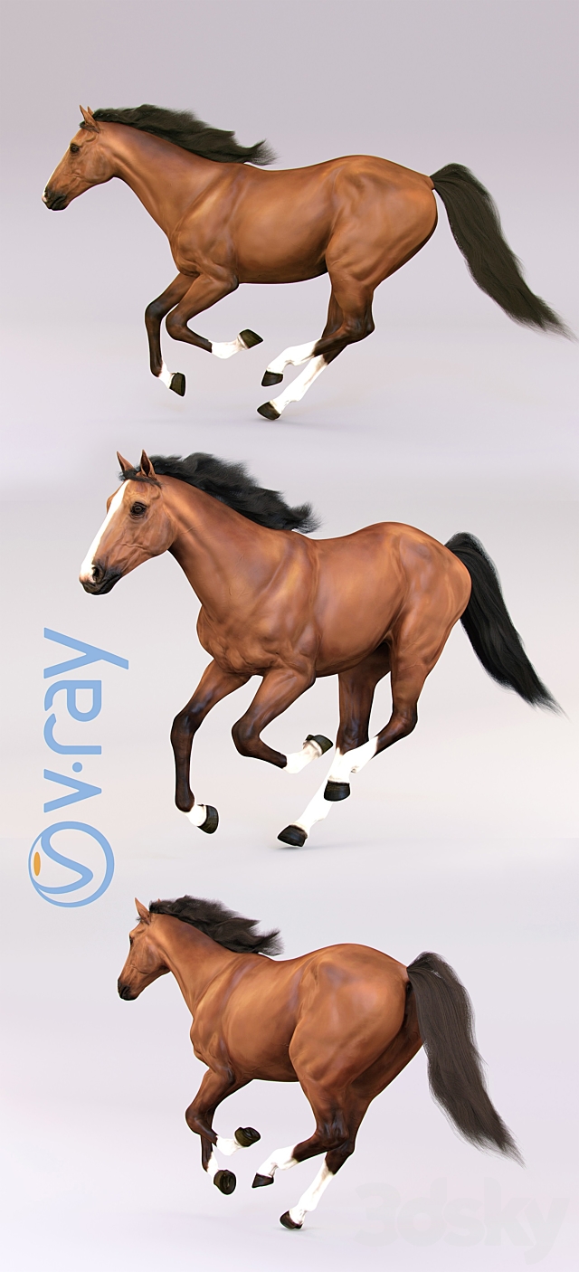 Running horse 3ds Max - thumbnail 3