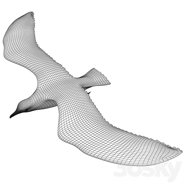 Seagull in flight 3DSMax File - thumbnail 3