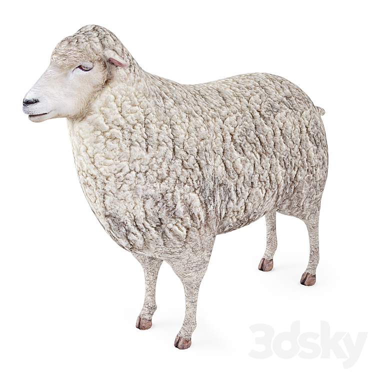 Sheep 3DS Max - thumbnail 1