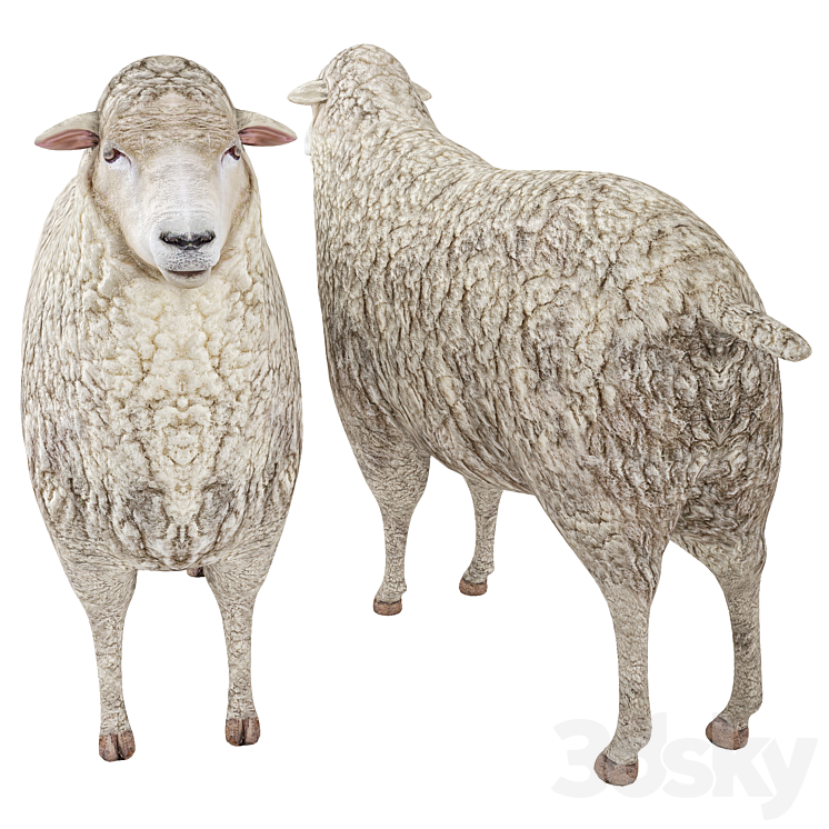 Sheep 3DS Max - thumbnail 2