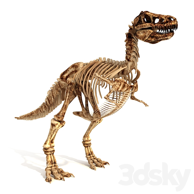 Skeleton of the Dinosaur Trex 3DSMax File - thumbnail 1