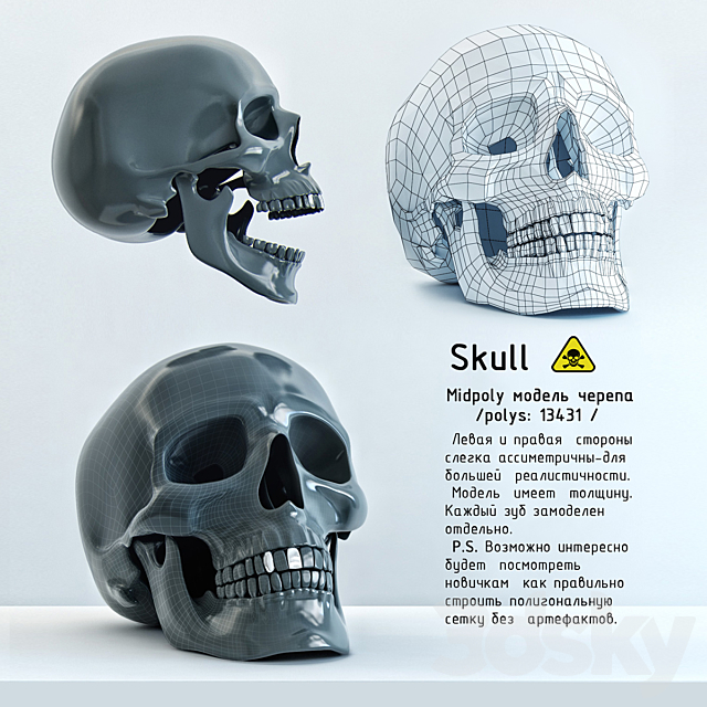 Skull 3DSMax File - thumbnail 1