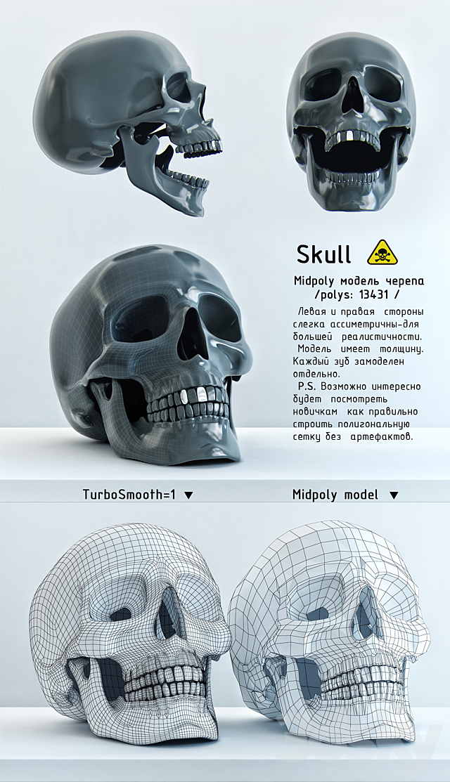Skull 3DSMax File - thumbnail 2